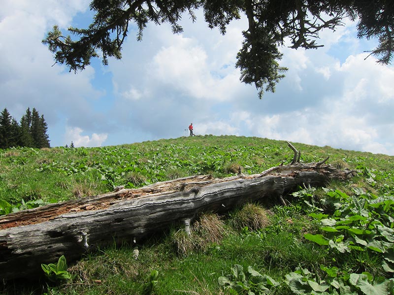 Rauschkogel